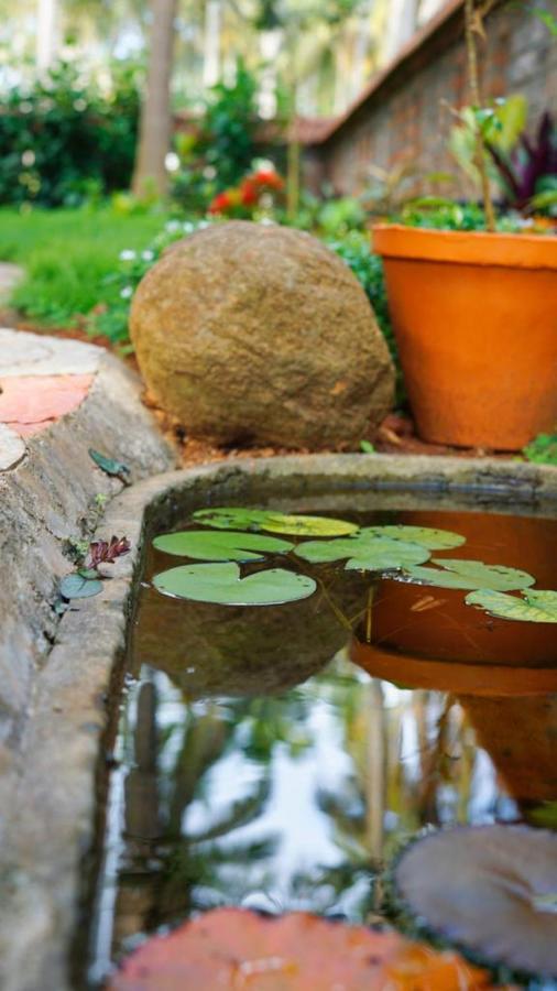Dr Nisha'S Vedic Remedies Thiruvananthapuram Buitenkant foto